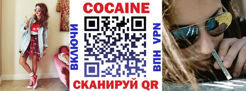 купить наркотики сайты мега ссылка COCAIN Fish Scale Новая Ладога