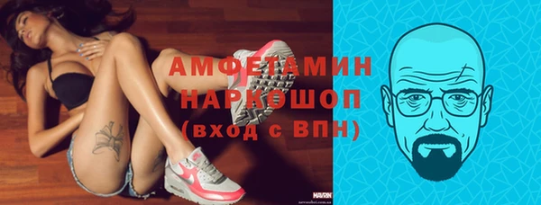 стафф Алексин