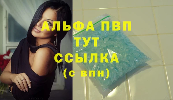 стафф Алексин