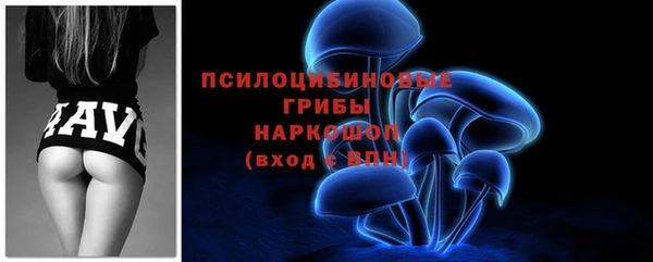 стафф Алексин