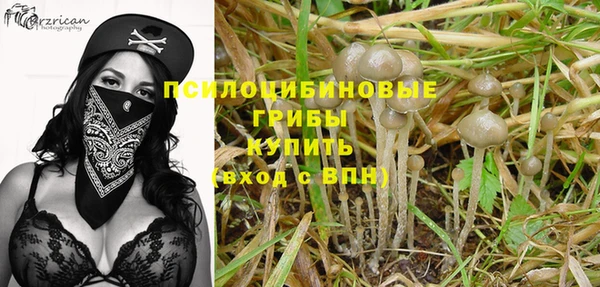 стафф Алексин