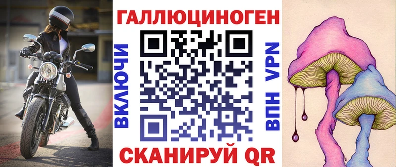 Псилоцибиновые грибы мицелий Новая Ладога